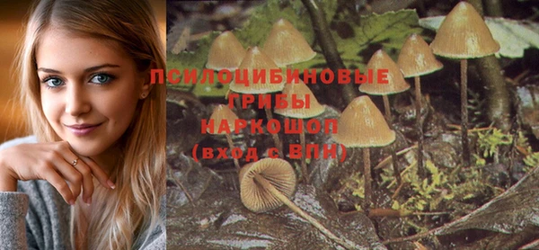 ПСИЛОЦИБИНОВЫЕ ГРИБЫ Арсеньев
