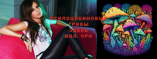 ПСИЛОЦИБИНОВЫЕ ГРИБЫ Арсеньев