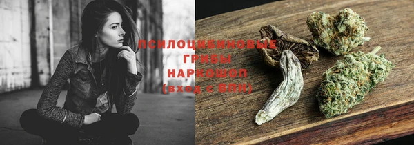 винт Баксан