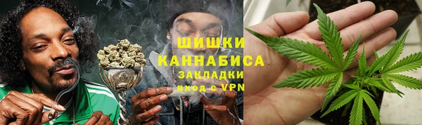 ПСИЛОЦИБИНОВЫЕ ГРИБЫ Арсеньев