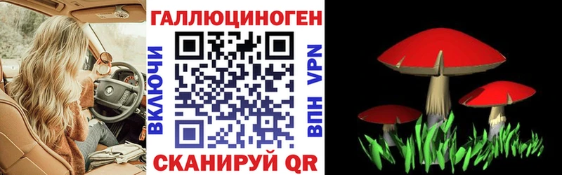 Купить Междуреченск Псилоцибиновые грибы Psilocybine cubensis
