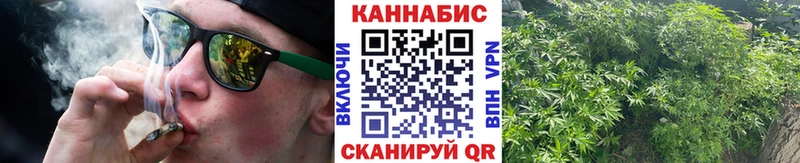 Купить где  Междуреченск  Шишки марихуана план 